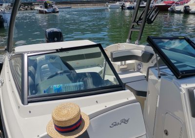 location du bateau avec pilote pour decouvrir le lac du bourget