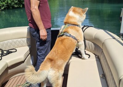 tous les animaux sont admis en croisiere
